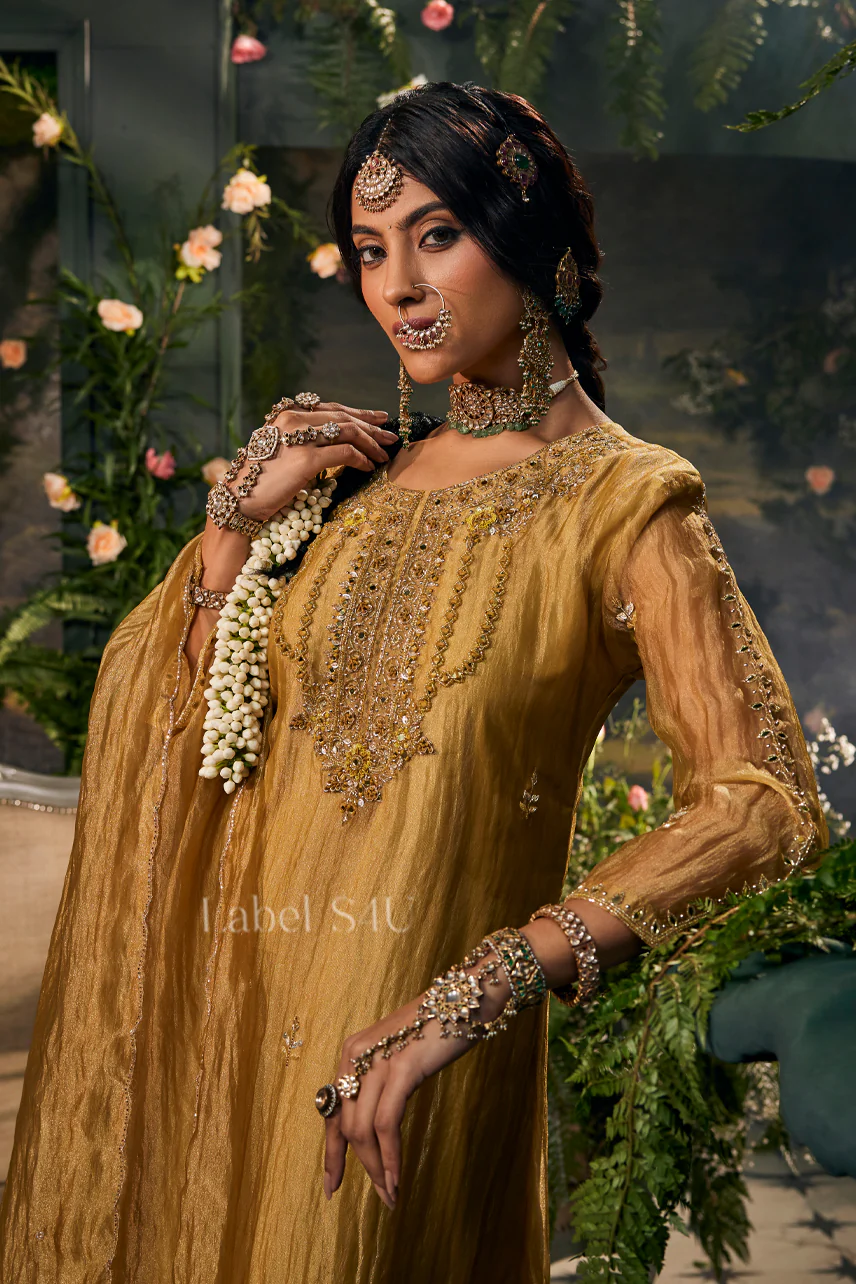 Mehek Mustard Tissue-Anarkali Set - Image 3