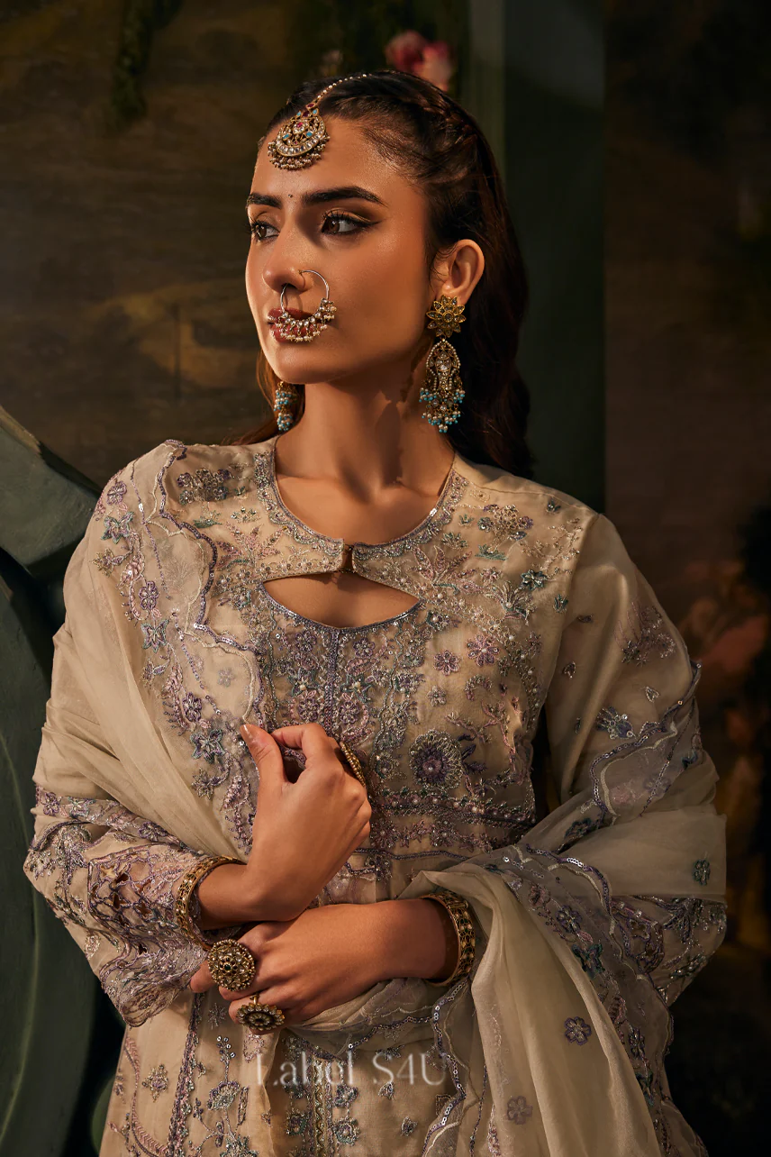 Beige Embroidered-Anarkali - Image 3