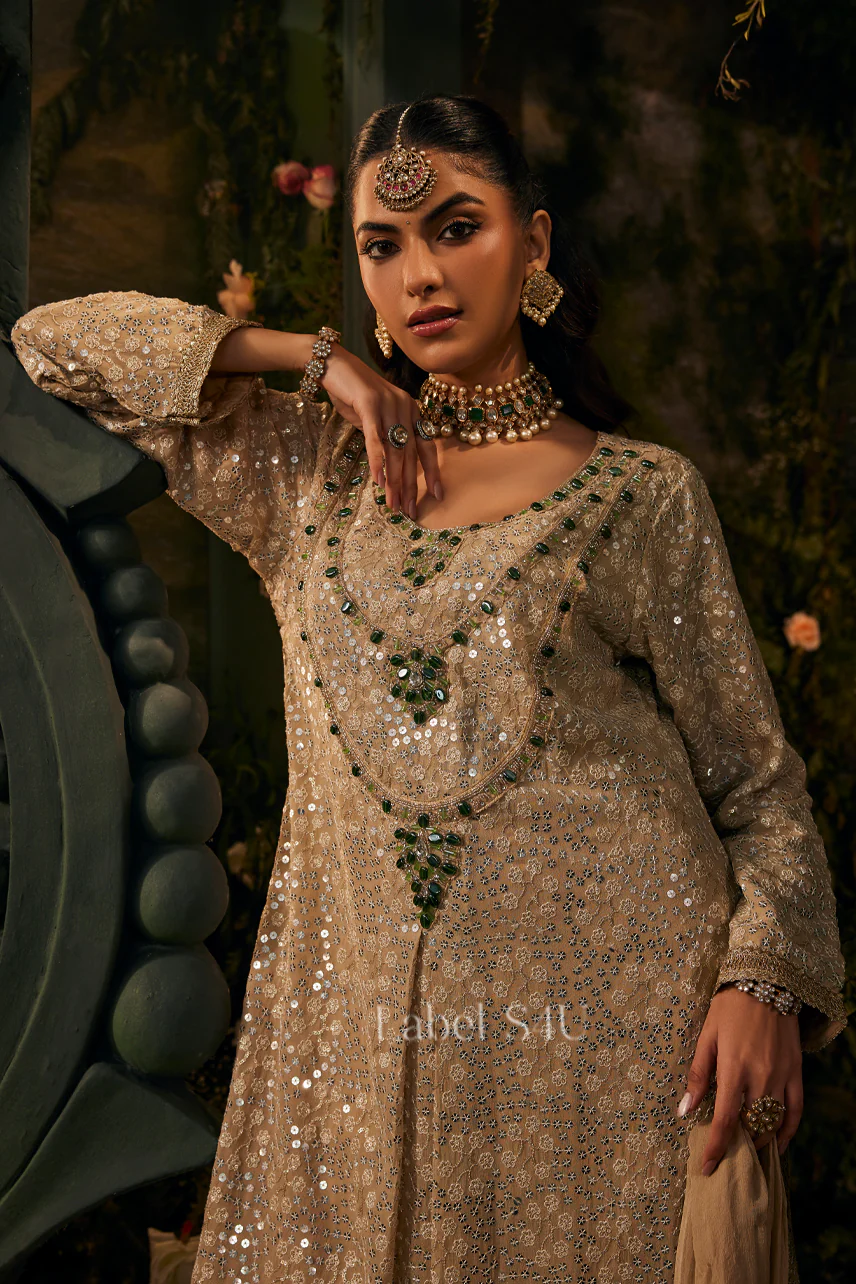 Champagne Embroidered-Pakistani Suit Set - Image 2