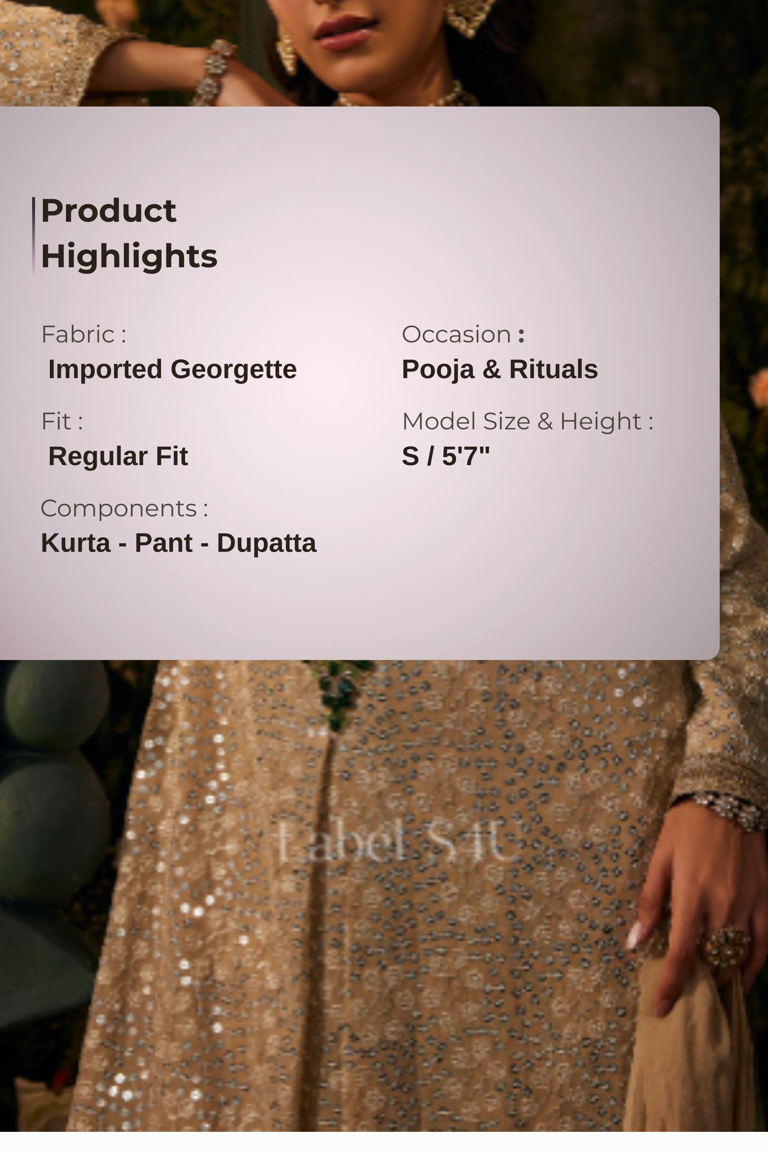 Champagne Embroidered-Pakistani Suit Set - Image 3