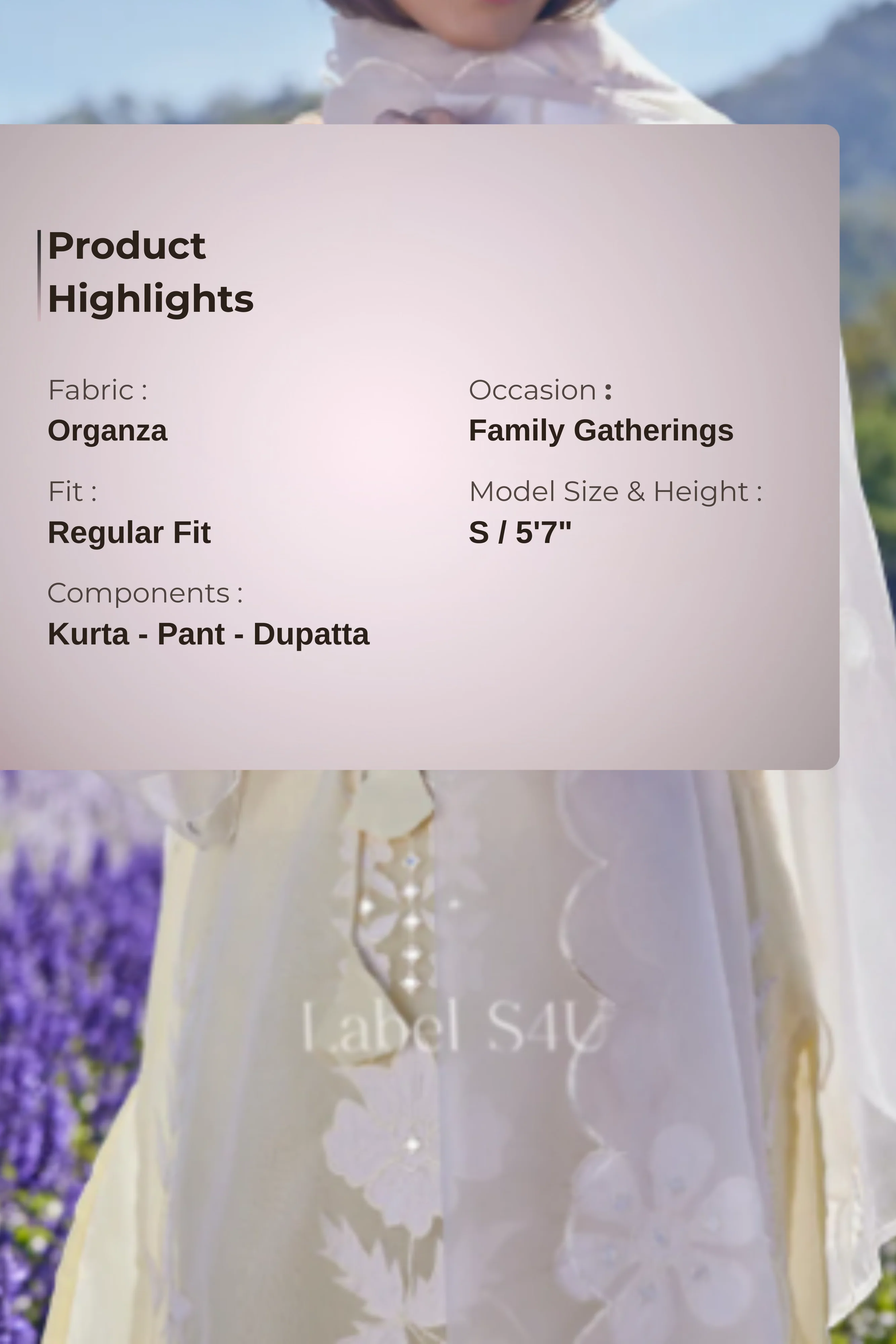 Cream Gleam Organza-Suit Set - Image 4