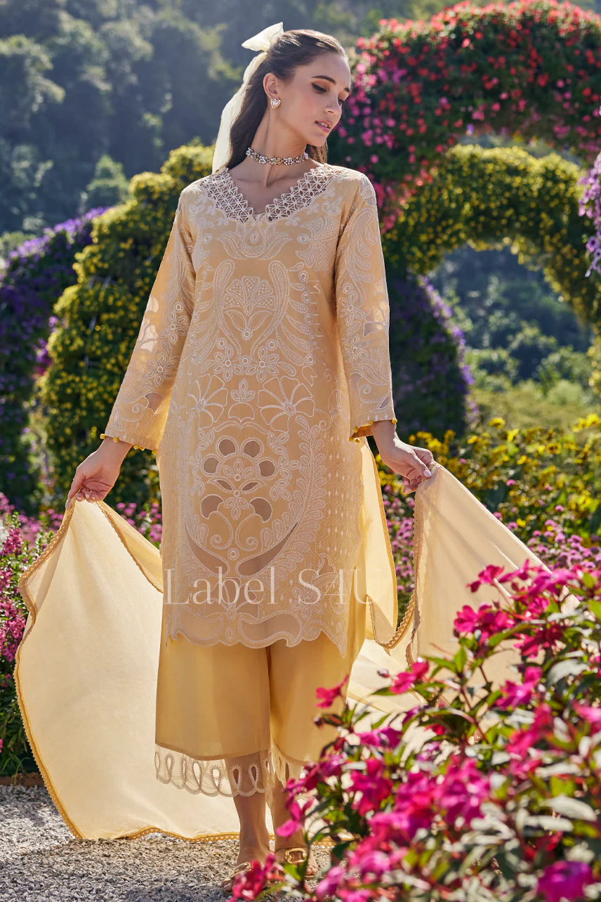 Daylight Cutwork Cotton Suit Set