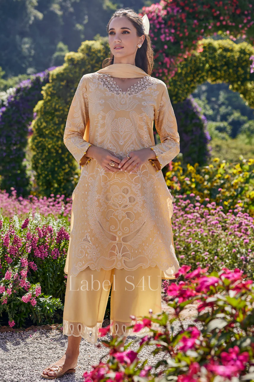 Daylight Cutwork Cotton Suit Set - Image 3