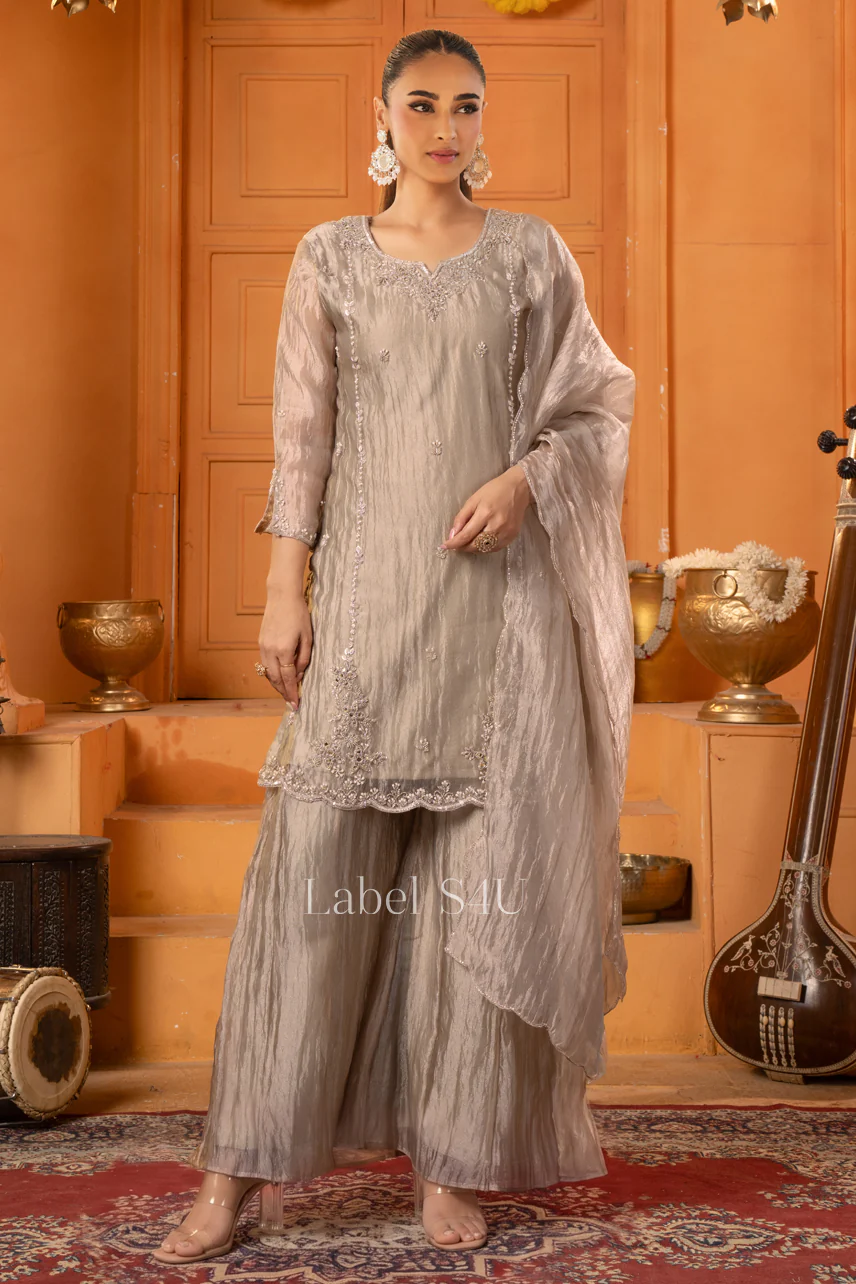 Grey Organza Handwork Suit Set - Image 3