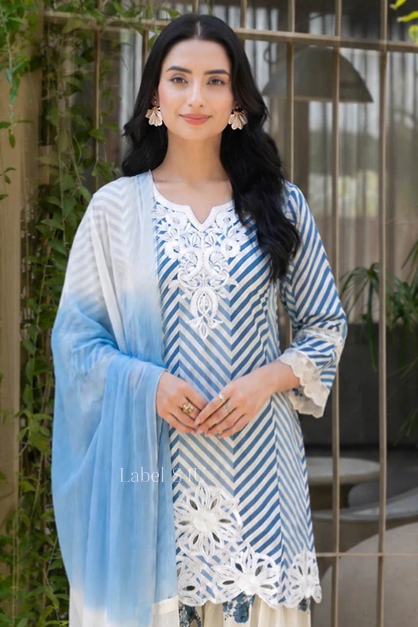 Ivyra Embroidered Farshi Salwar Set - Image 5