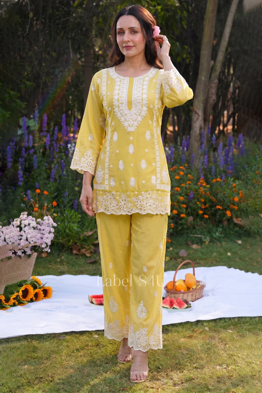 Lush Lucknowi Embroidered Co Ord Set - Image 5