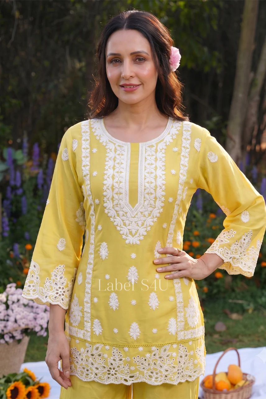 Lush Lucknowi Embroidered Co Ord Set - Image 6
