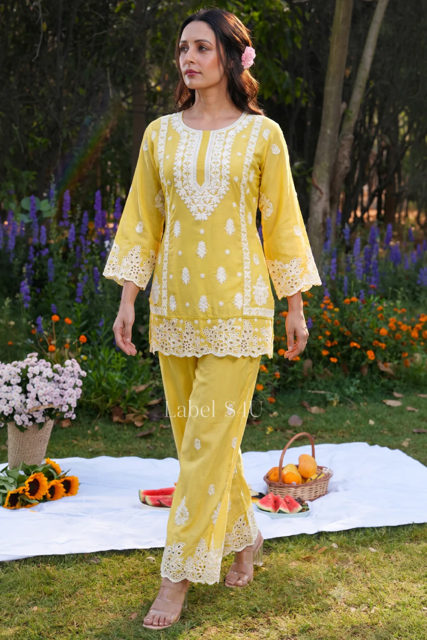 Lush Lucknowi Embroidered Co Ord Set - Image 7