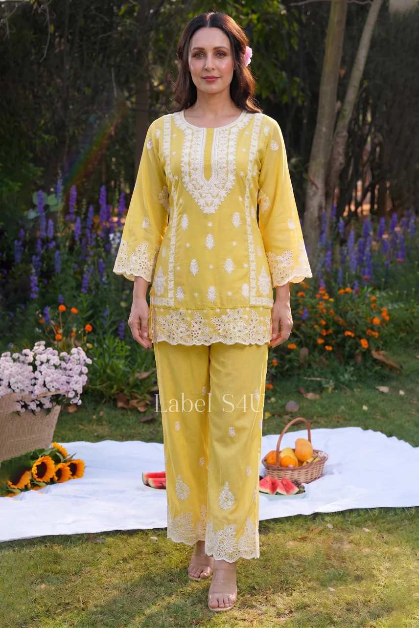 Lush Lucknowi Embroidered Co Ord Set - Image 8