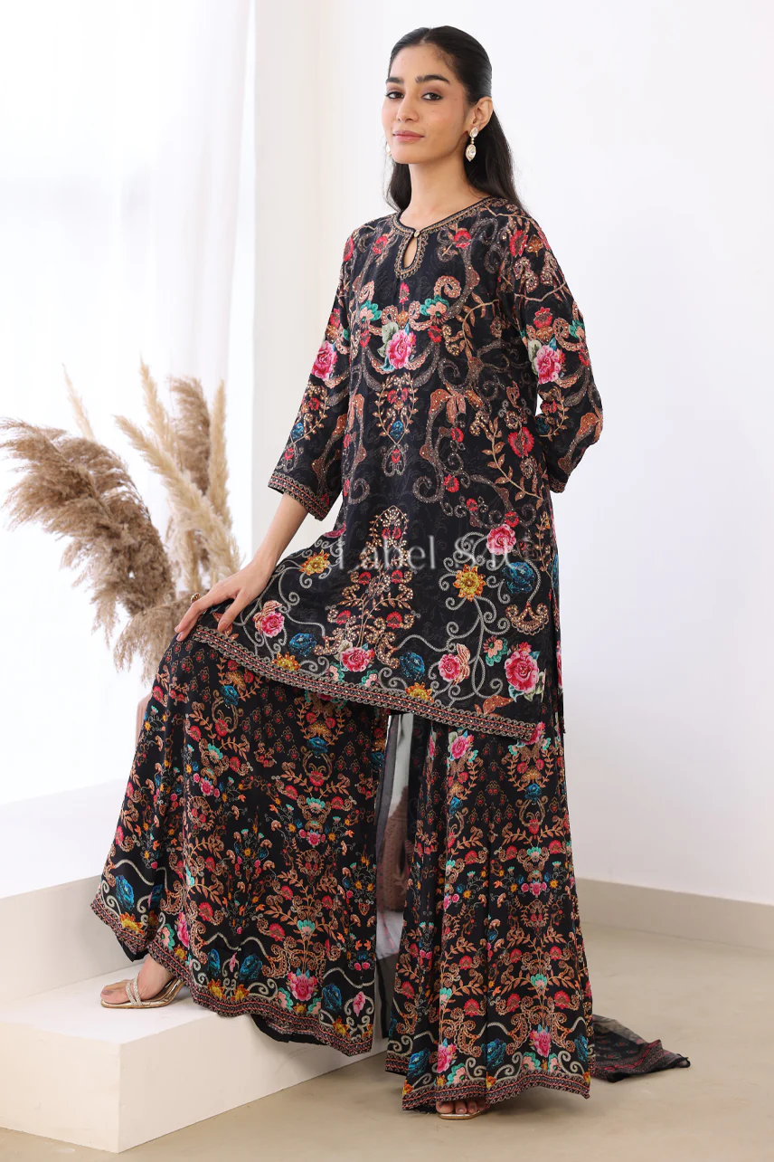 Shahnaz 2.0-Sharara Set - Image 3