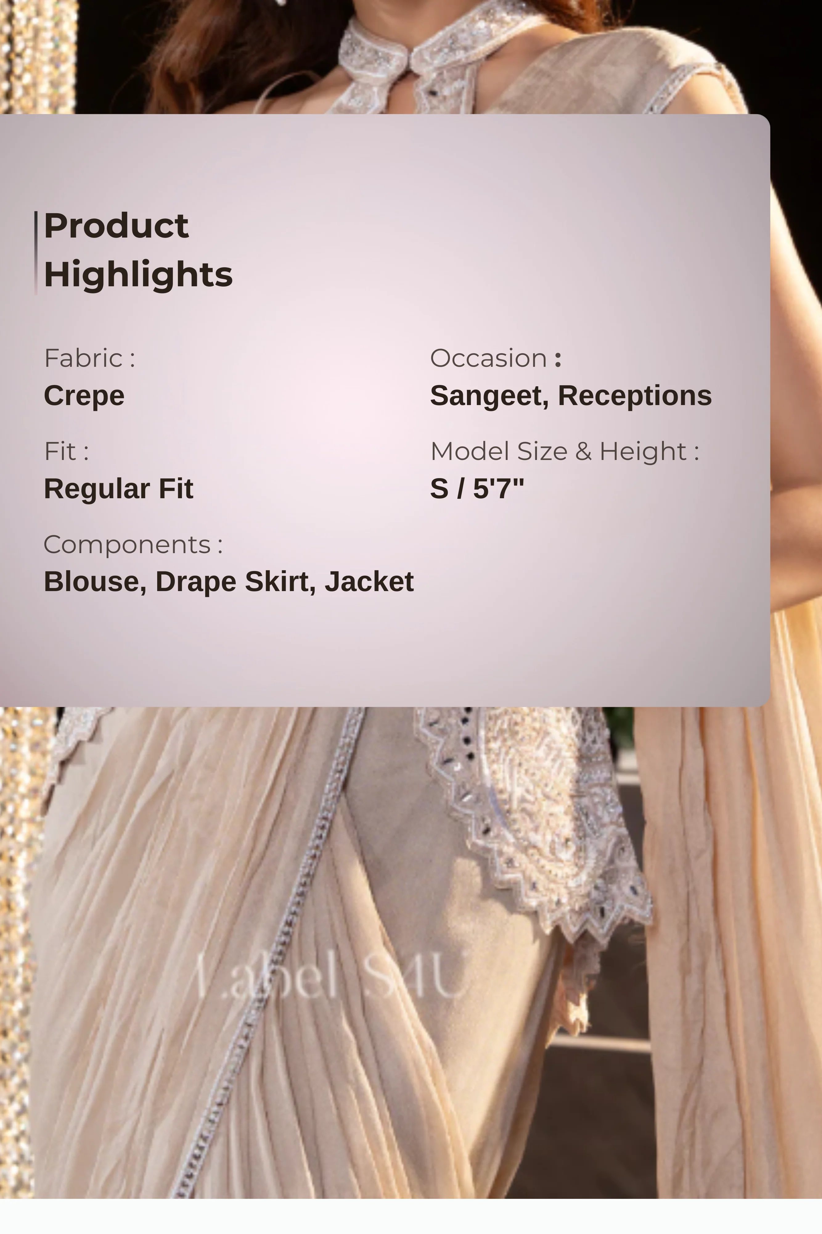 Stardust-Pre-Drapped Saree - Image 4