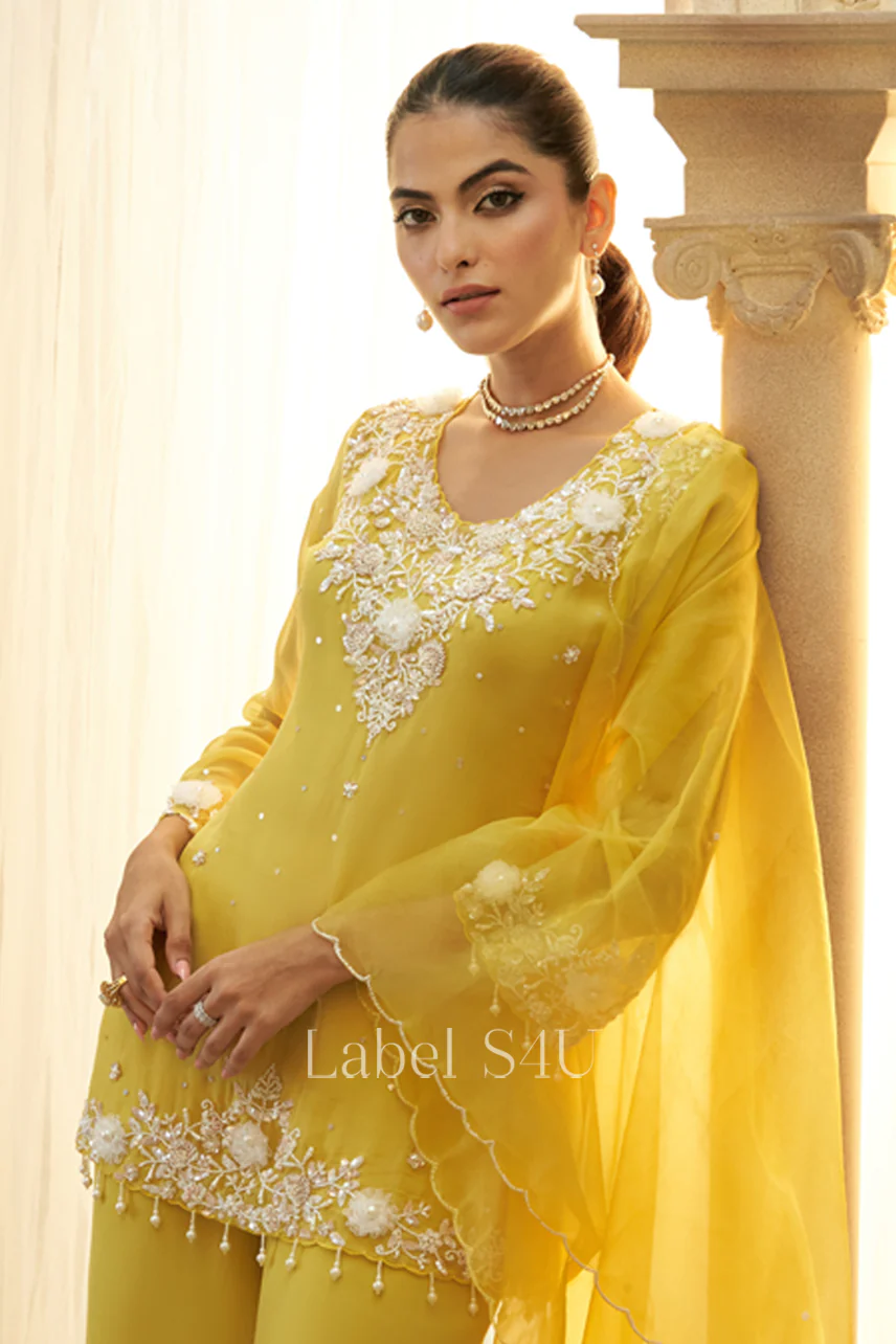 Sunlit Grace-Sharara Set - Image 3