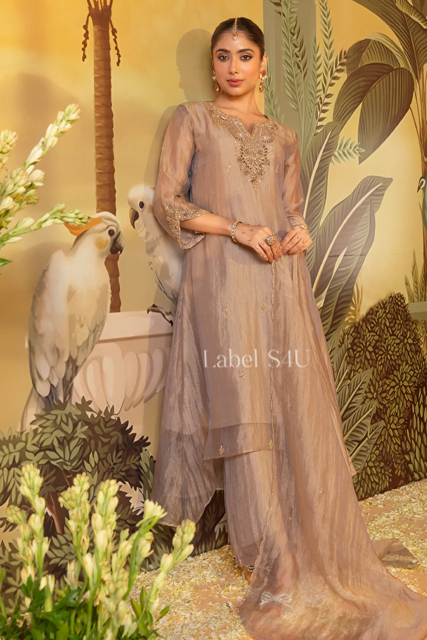 Tabeer-Anarkali Set - Image 3