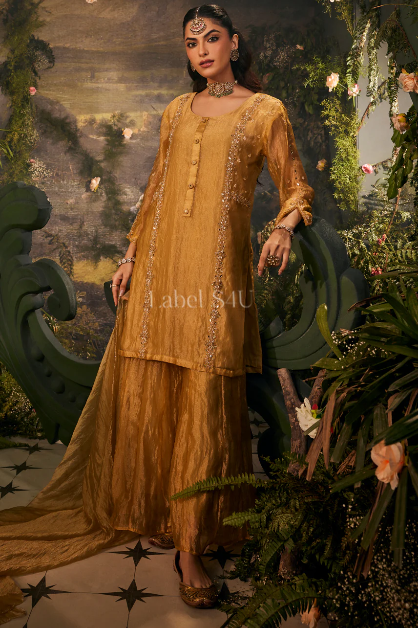 Zeenat-Tissue Palazzo Set