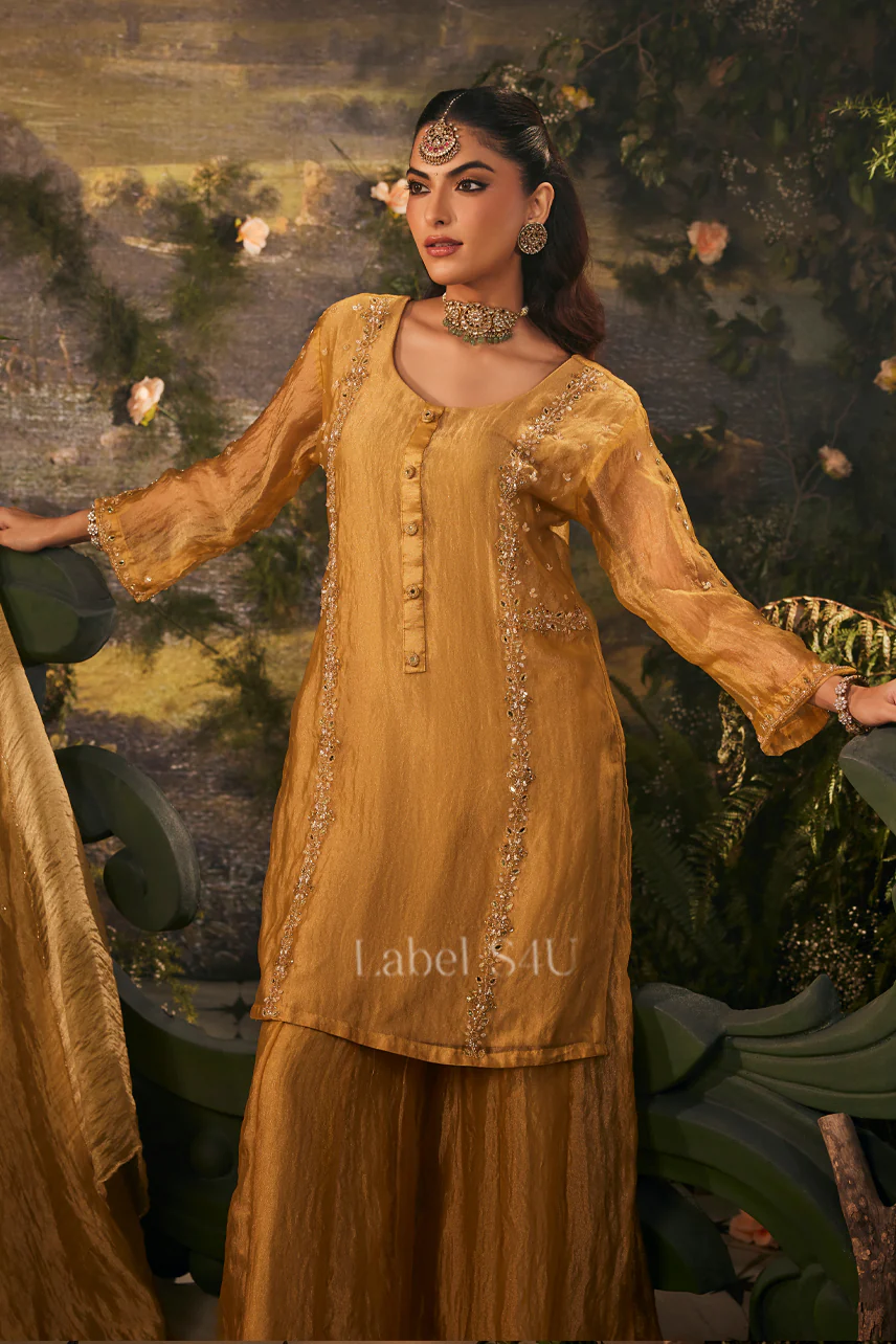 Zeenat-Tissue Palazzo Set - Image 2