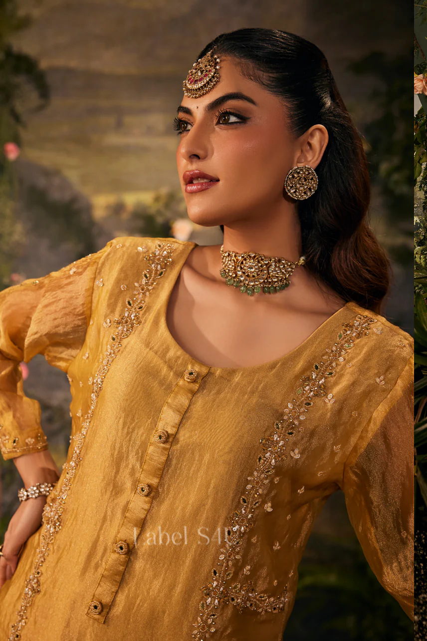 Zeenat-Tissue Palazzo Set - Image 3