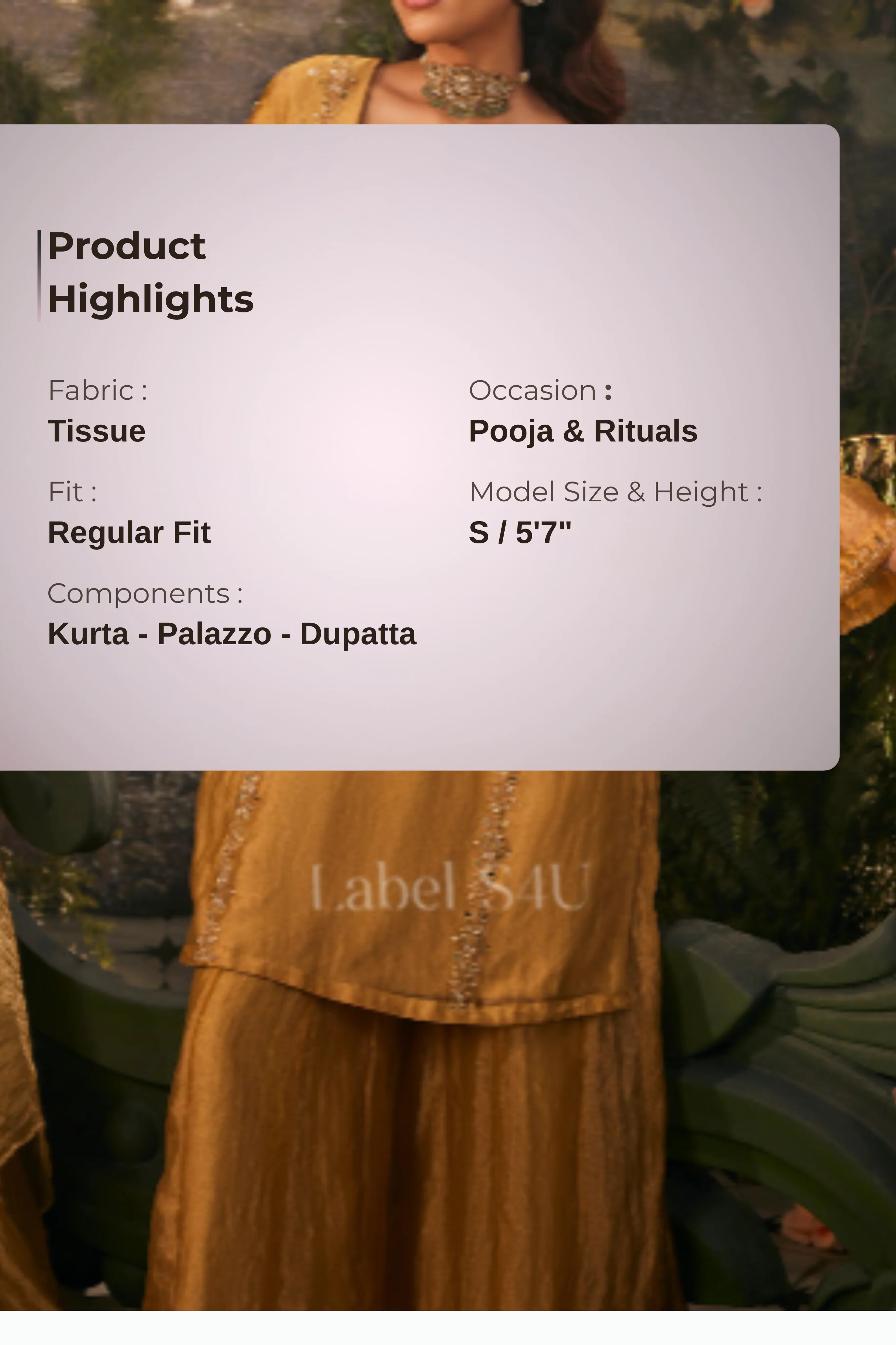 Zeenat-Tissue Palazzo Set - Image 4